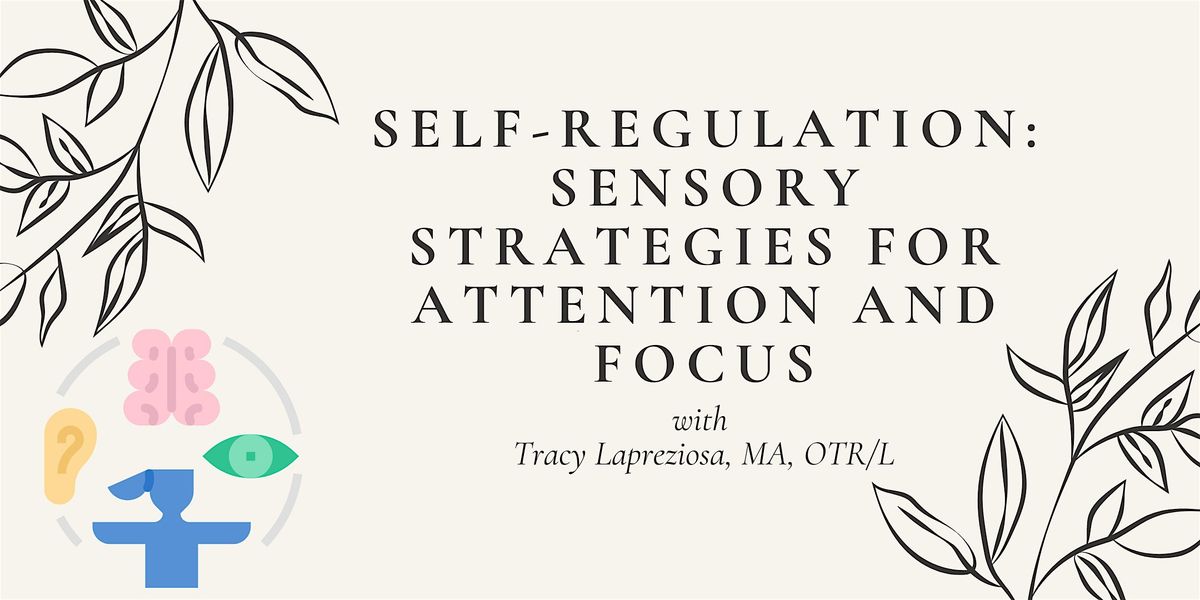 Self-Regulation:  Sensory Strategies for Attention and Focus