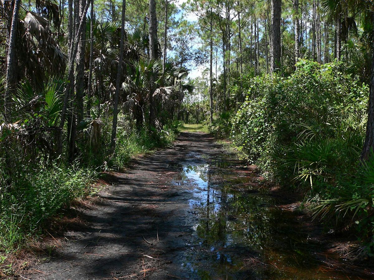 Guided Walk: CREW Marsh Trails (Green Trail)