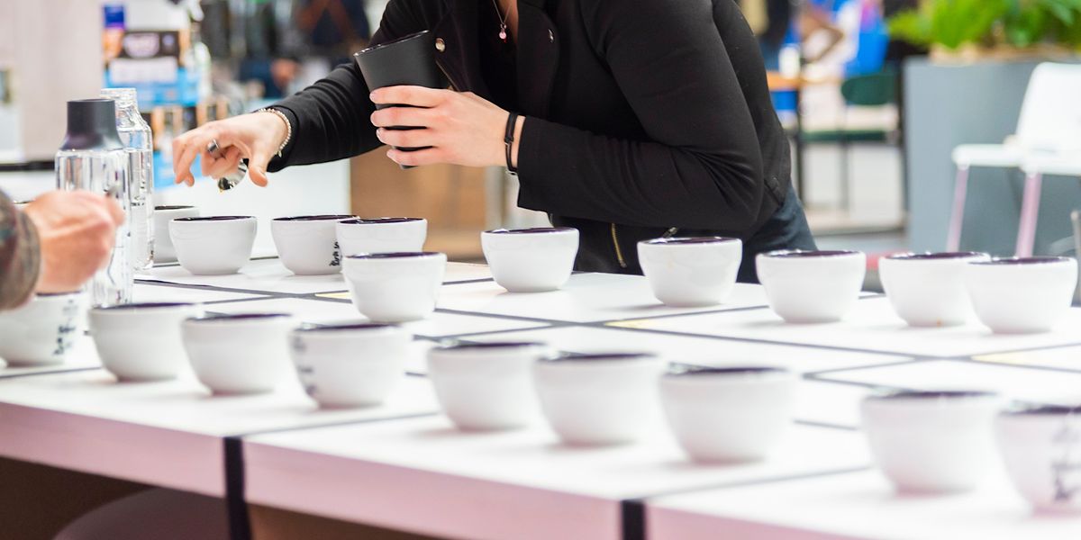 Tappa NORD Cup Tasters 2023 - Selezioni CICT