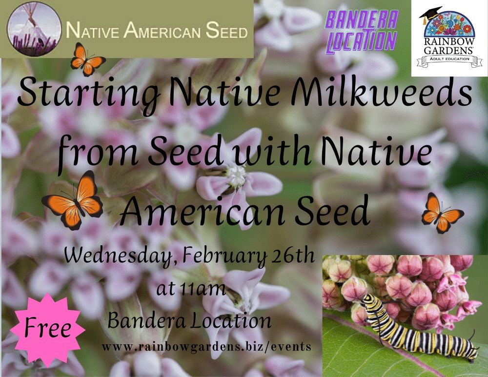 Starting Native Milkweeds from Seed