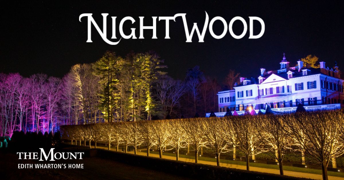 NightWood - A fantastical journey of sound & light