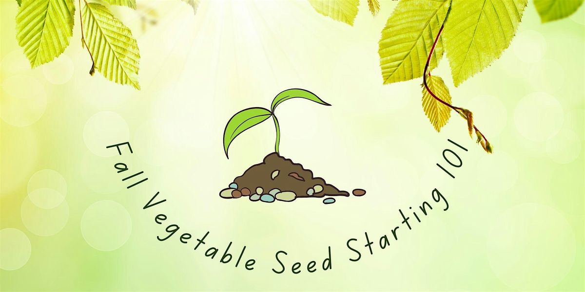 Fall Vegetable Seed Starting 101