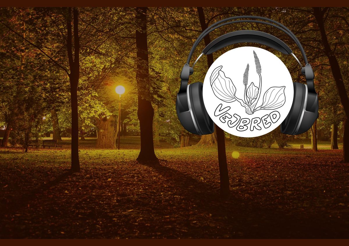 Silent disco walk i Frederiksberg Have\ud83c\udfb6\ud83e\udd7e\ud83c\udf33