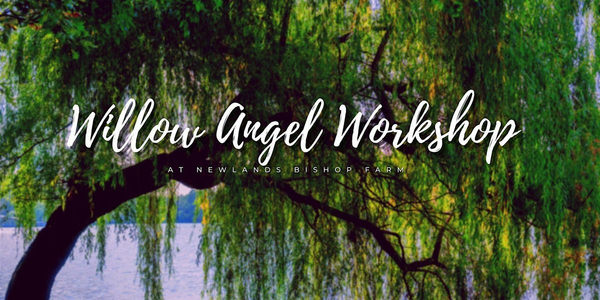 Willow Angel Workshop