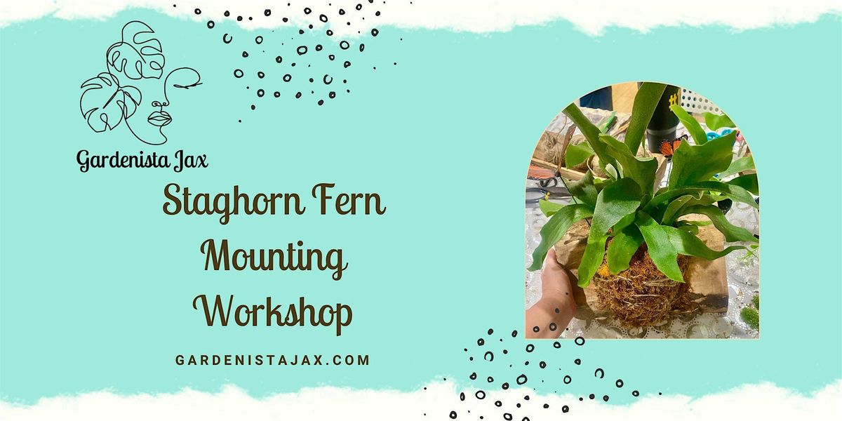 Staghorn Fern Mounting Workshop
