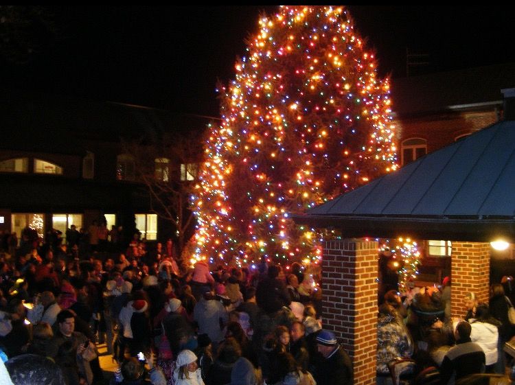 Downtown Toms River Tree Lighting