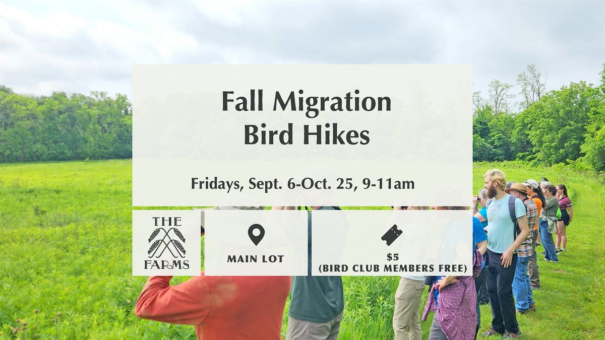 Fall Migration Bird Hikes