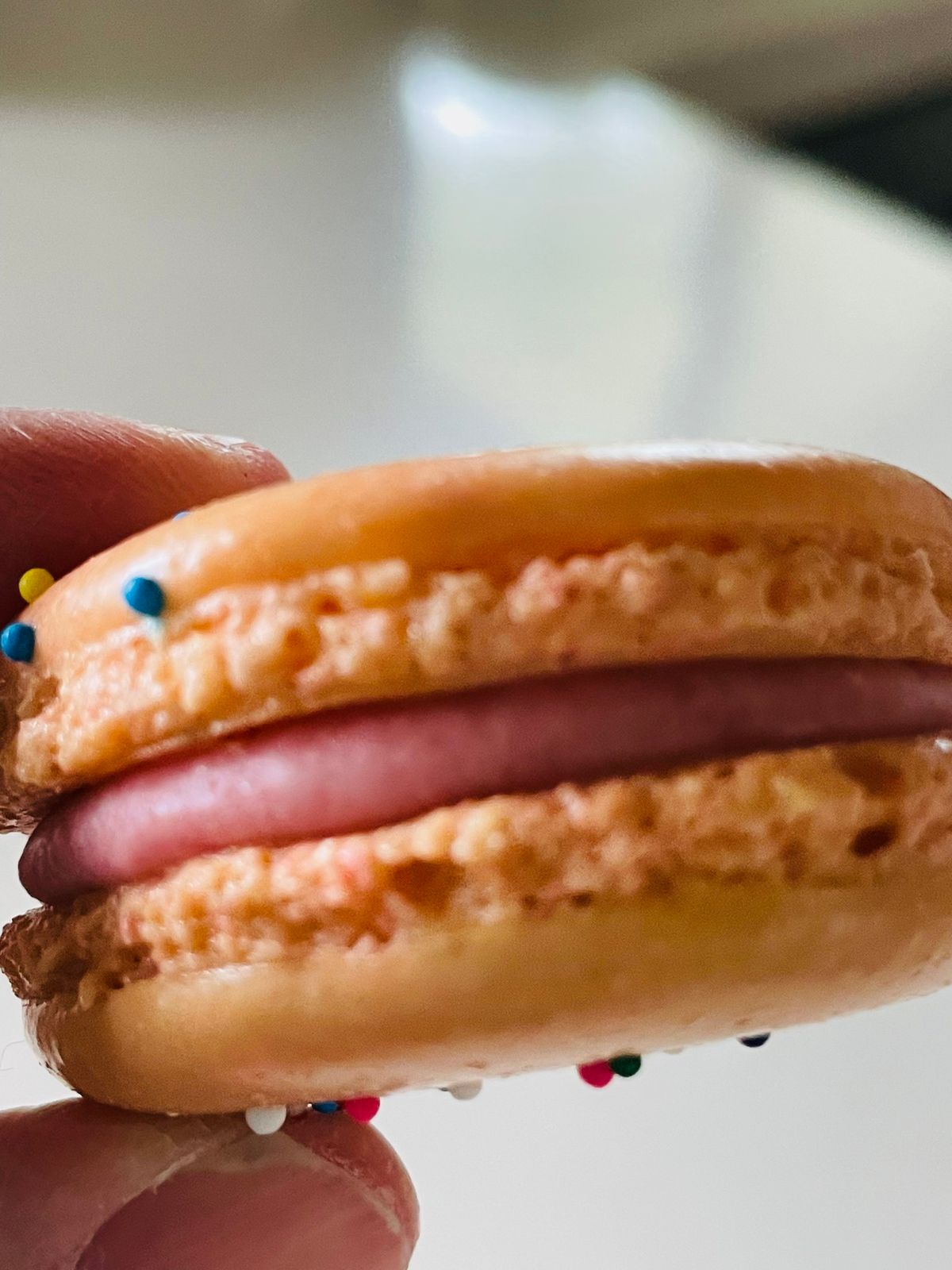 Holiday Macaron Culinary Class