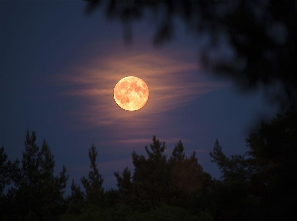 Full Moon Hike and Observatory Moon Viewing