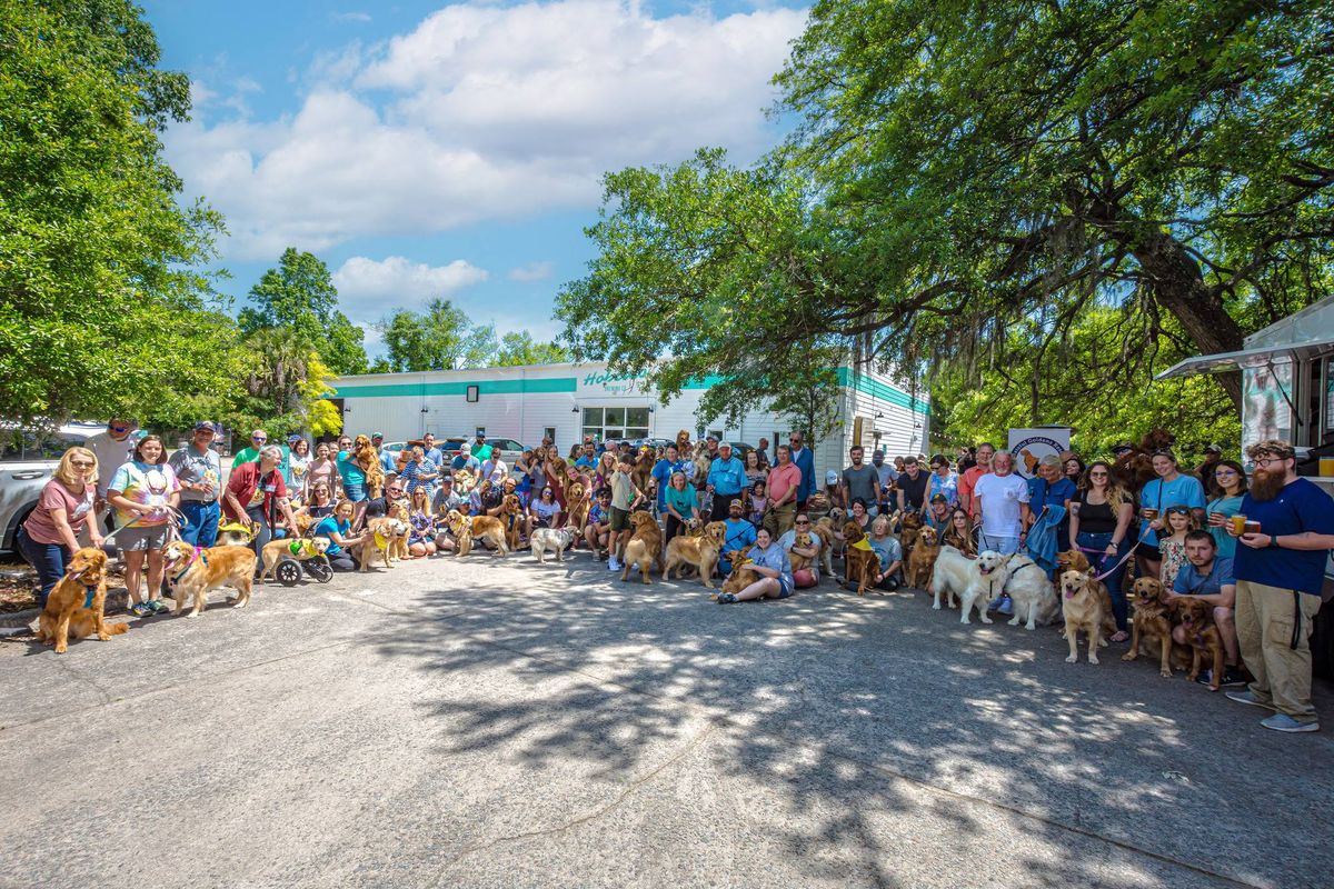 Fall 2024 Low Country Golden Retriever Meet Up