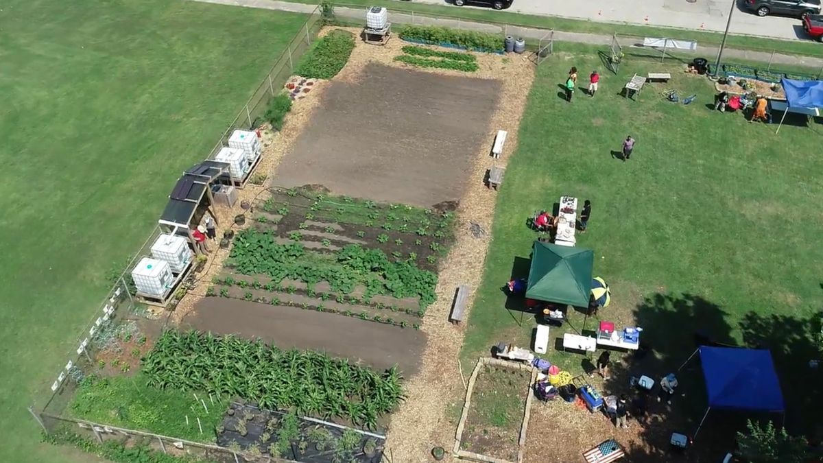 All Kids Farmers Market