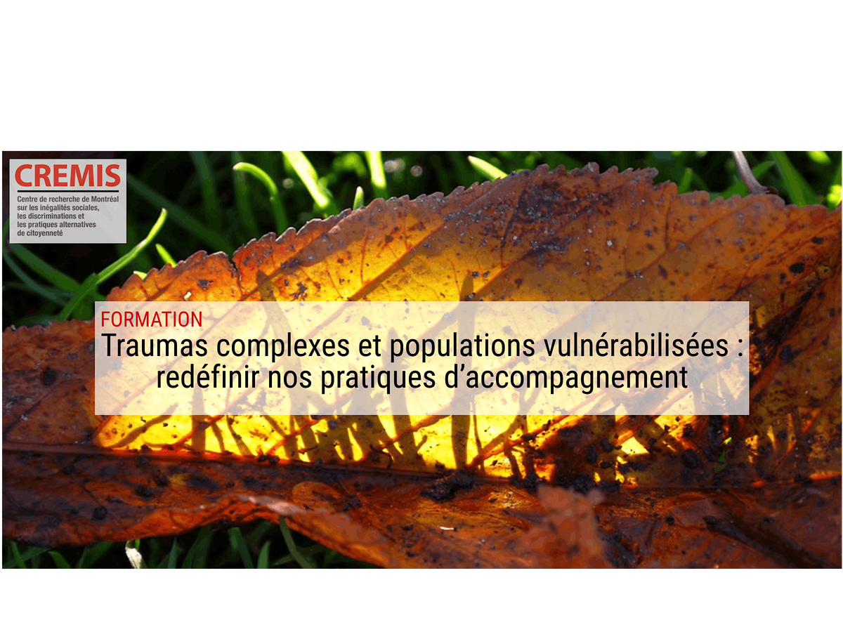 Traumas complexes et populations vuln\u00e9rabilis\u00e9es (1 journ\u00e9e compl\u00e8te)