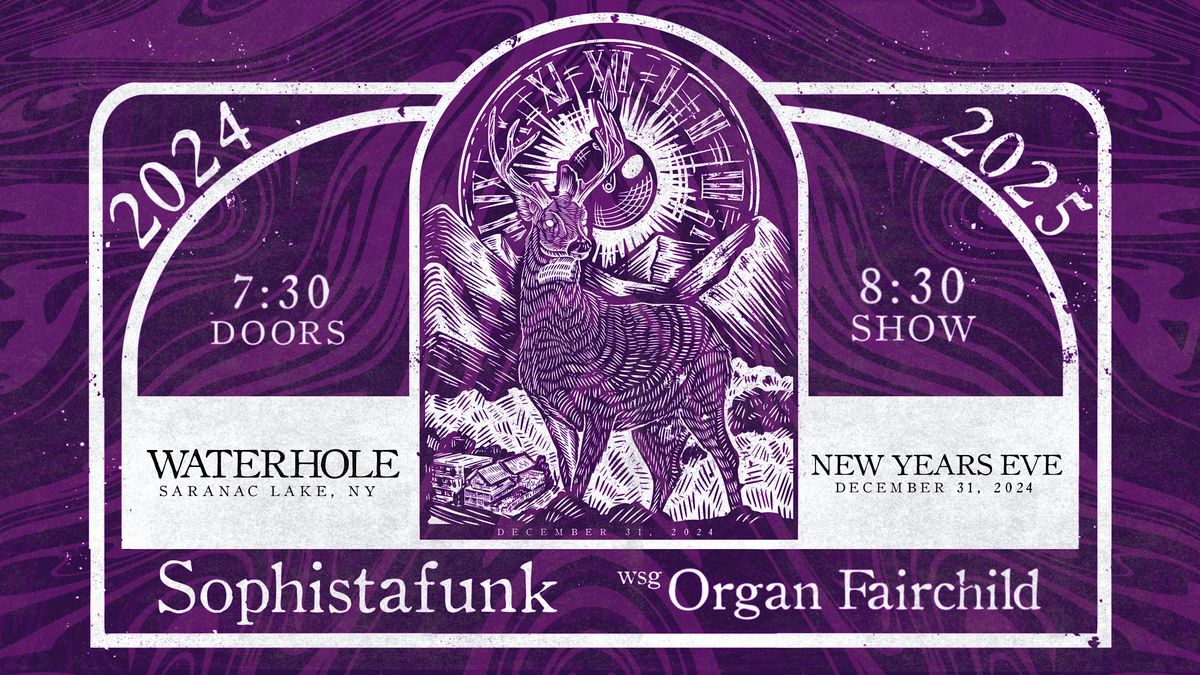 Sophistafunk wsg Organ Fairchild at Waterhole NYE Bash