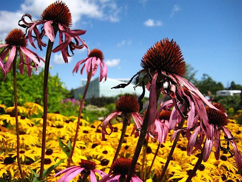 Seed Collecting Workshop