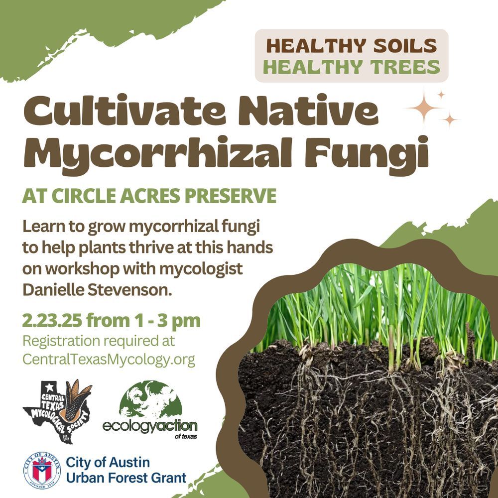 AUSTIN: Cultivate Native Mycorrhizal Fungi\n\n