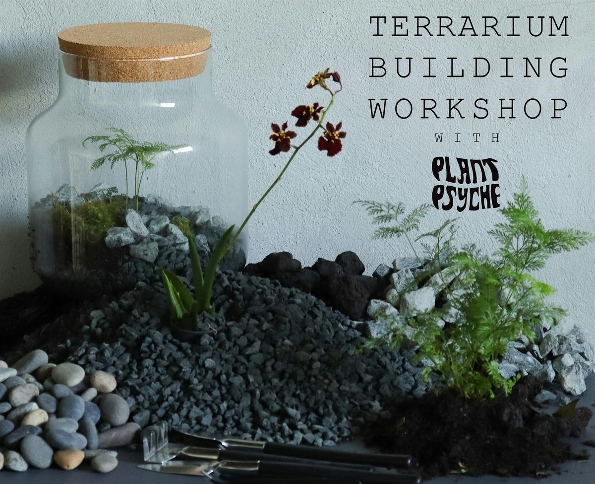 Terrarium Building Workshop with Plant Psyche Studio - NEW DATE