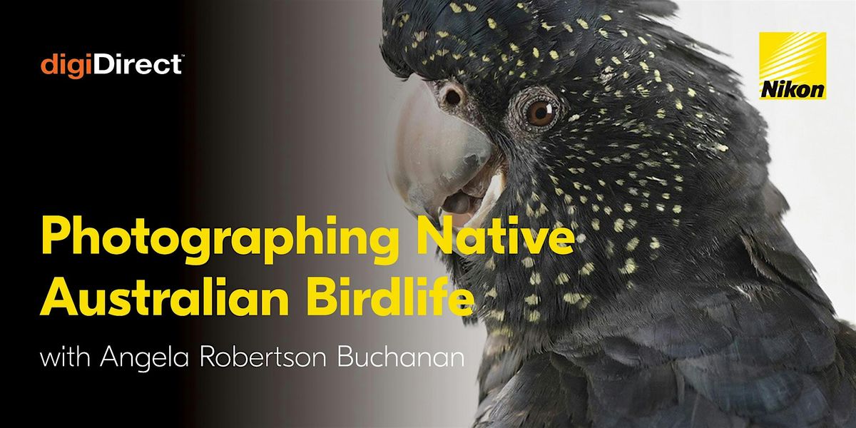 Photographing Native Australian Birdlife