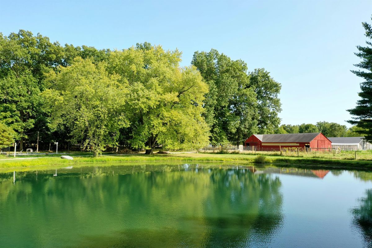 Picnic on the Farm