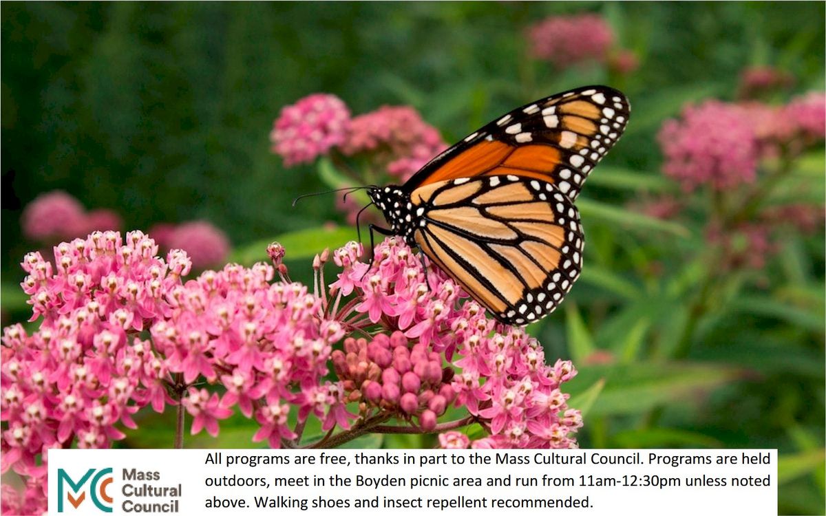 FREE EVENT : Monarchs and Milkweed