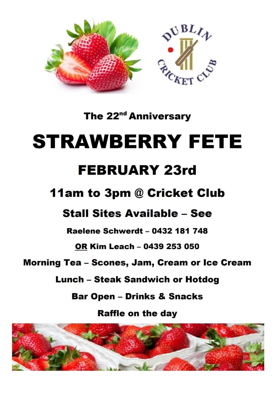 Annual Strawberry Fete 