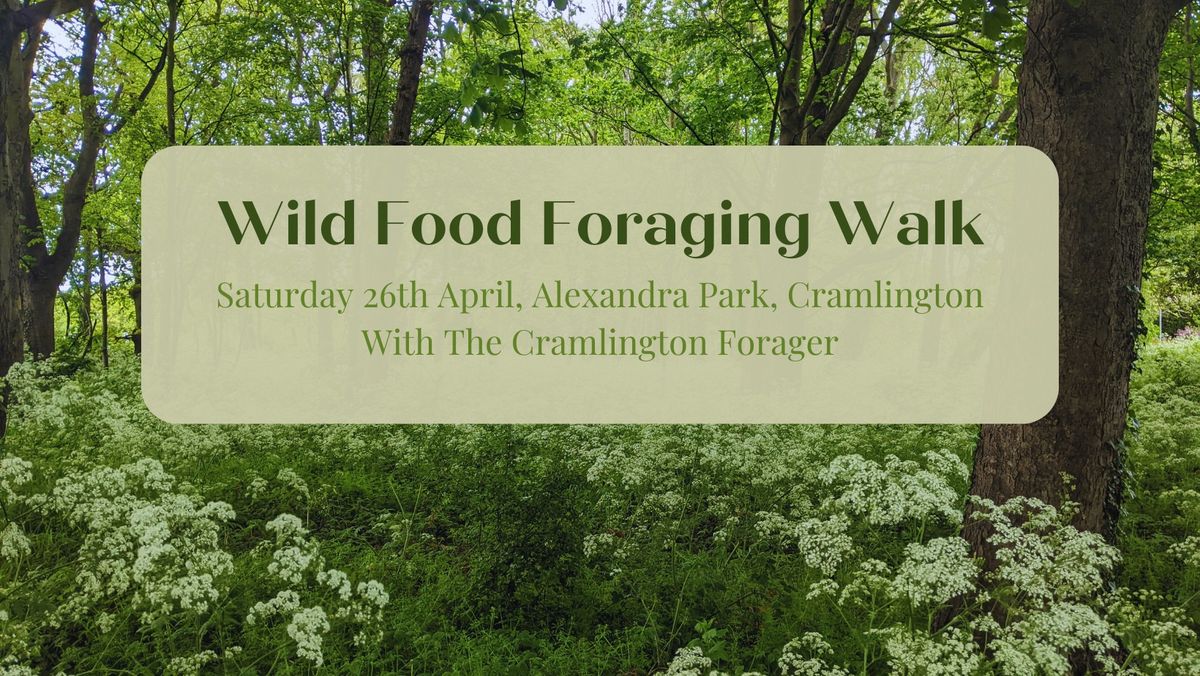 SOLD OUT - Spring Wild Food Foraging Walk at Alexandra Park