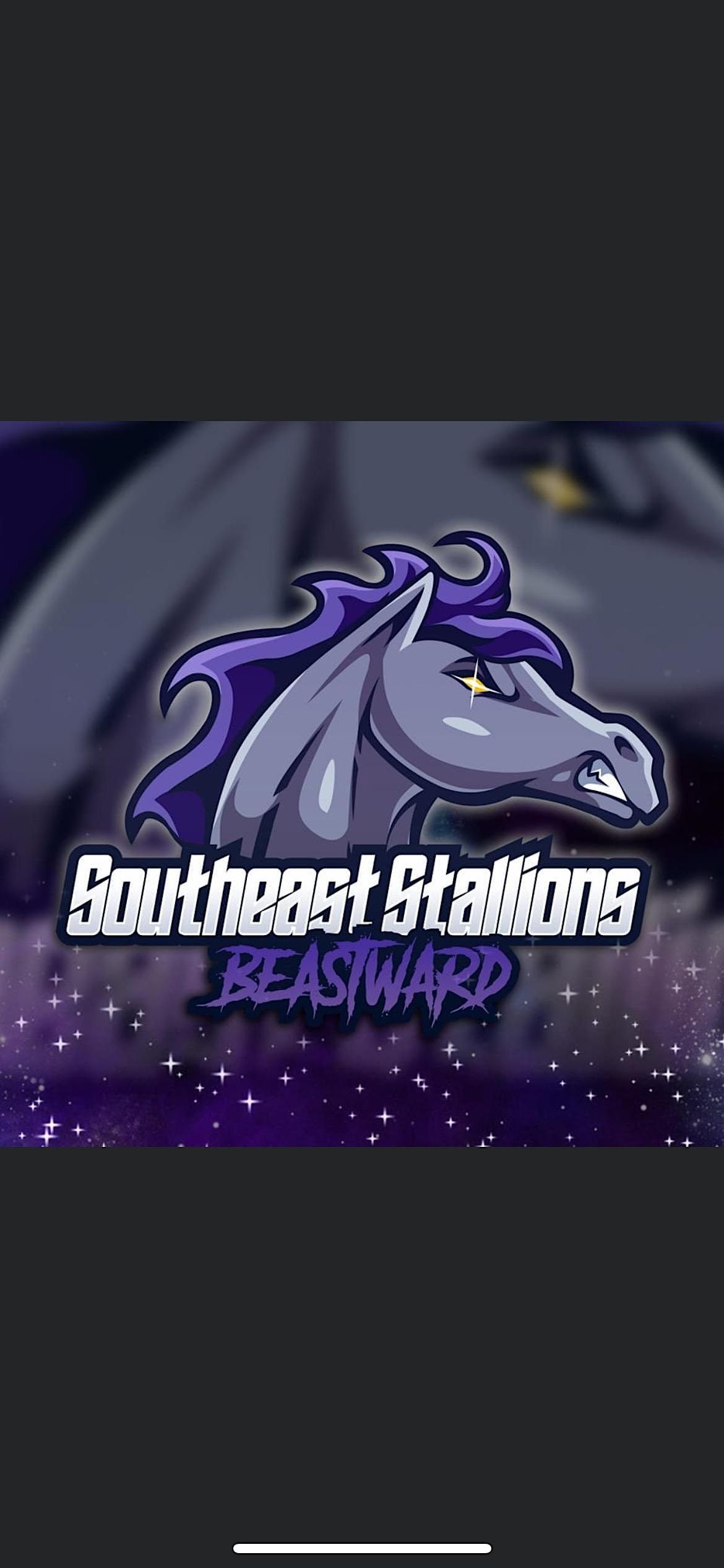 Southeast Stallions Skate Party!