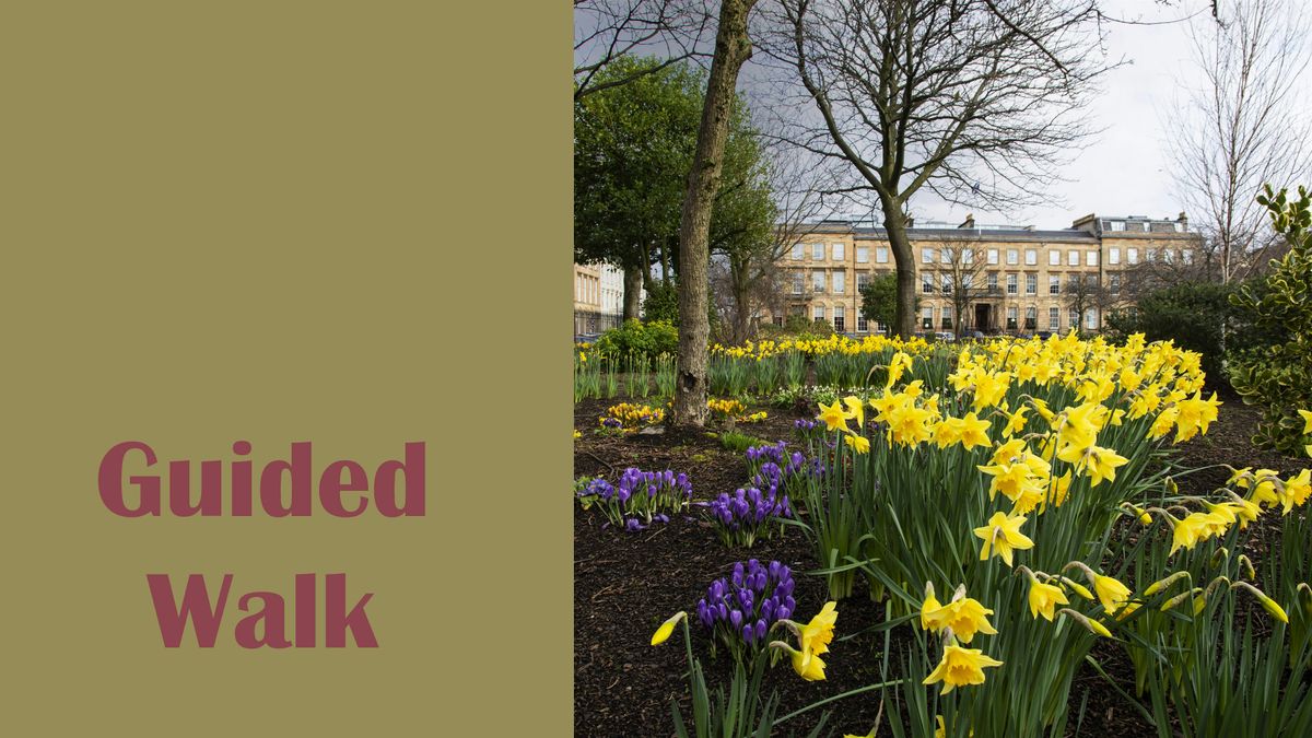 GUIDED WALK & AFTERNOON TEA