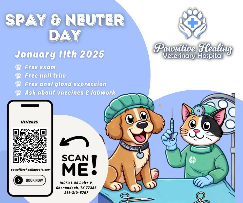 Spay Neuter Day