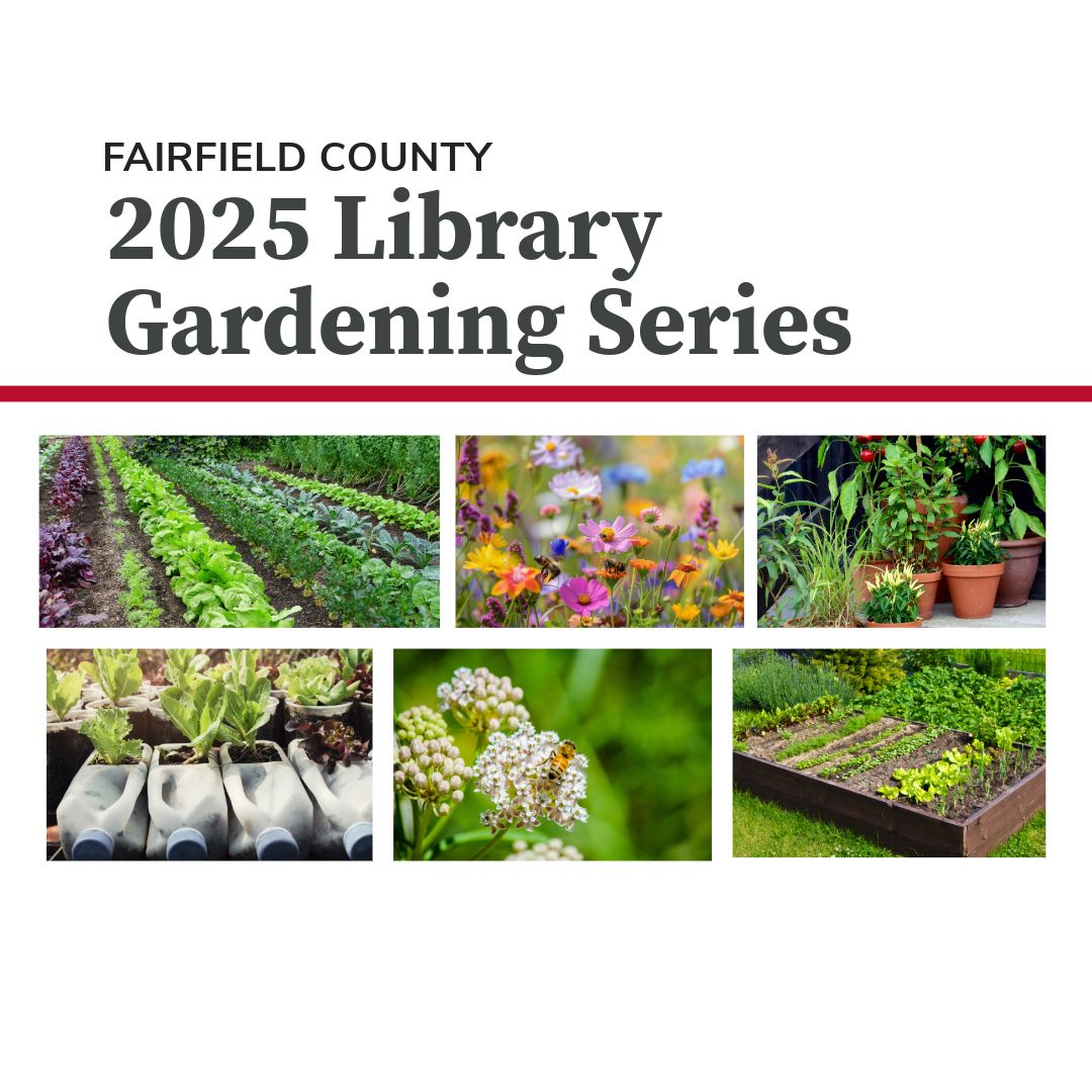 2025 Library Gardening Series - Ready, Set...Garden!