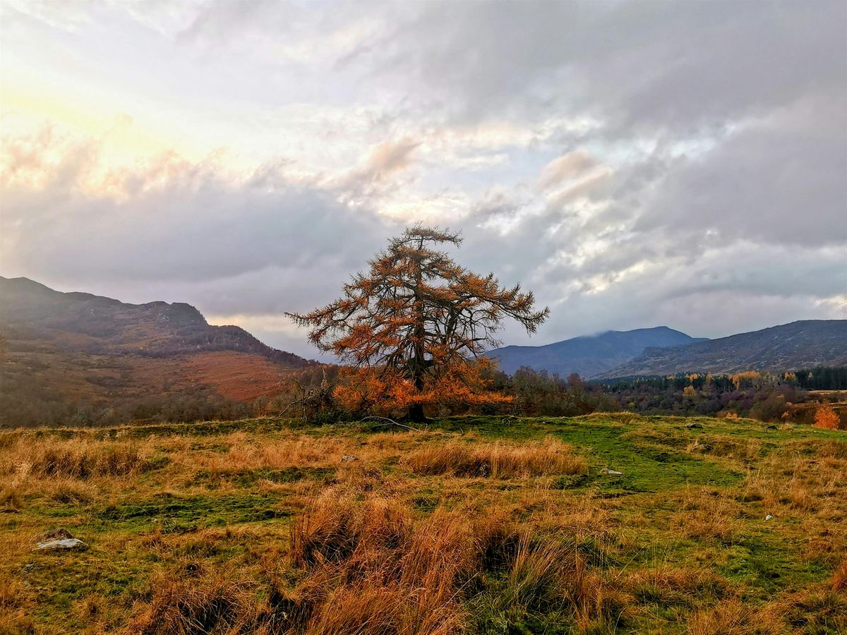 Echoing Heath - Guided Walk Exploring History and Lore, from Newtonmore(3h)