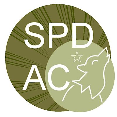 Silvia Productions Art Collective