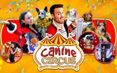 The Canine Circus - Bone-Dropping Fun