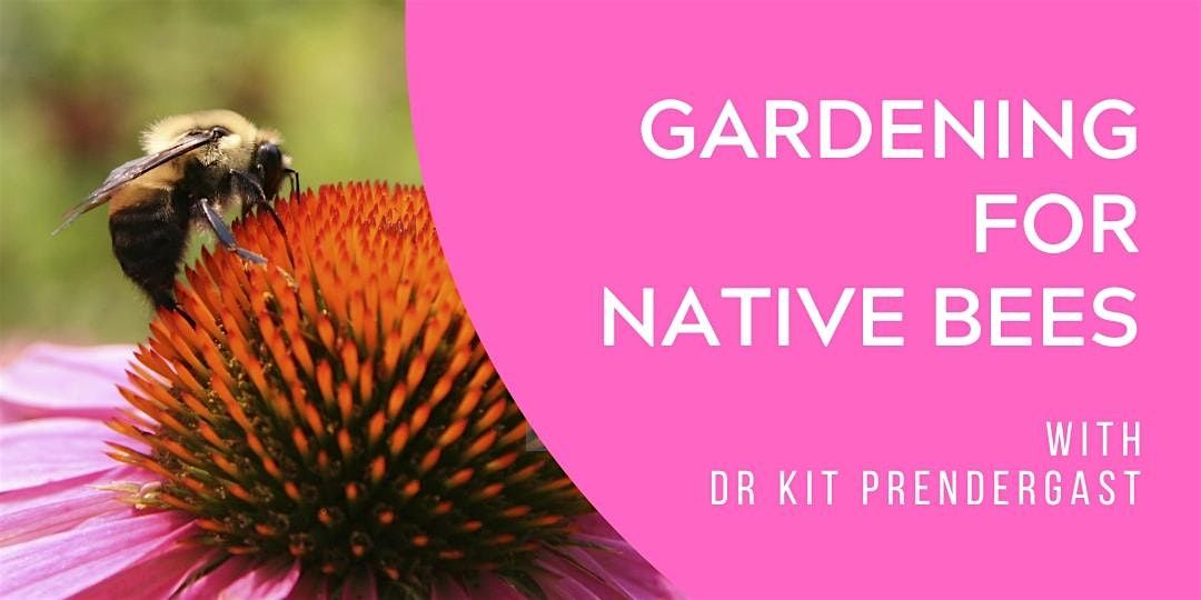 Gardening  for Native Bees