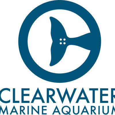 Clearwater Marine Aquarium