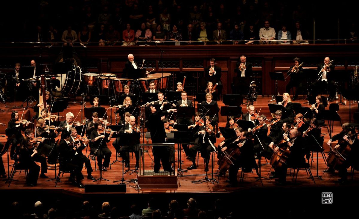 Nashville Symphony - Beethoven's Violin Concerto (Concert)