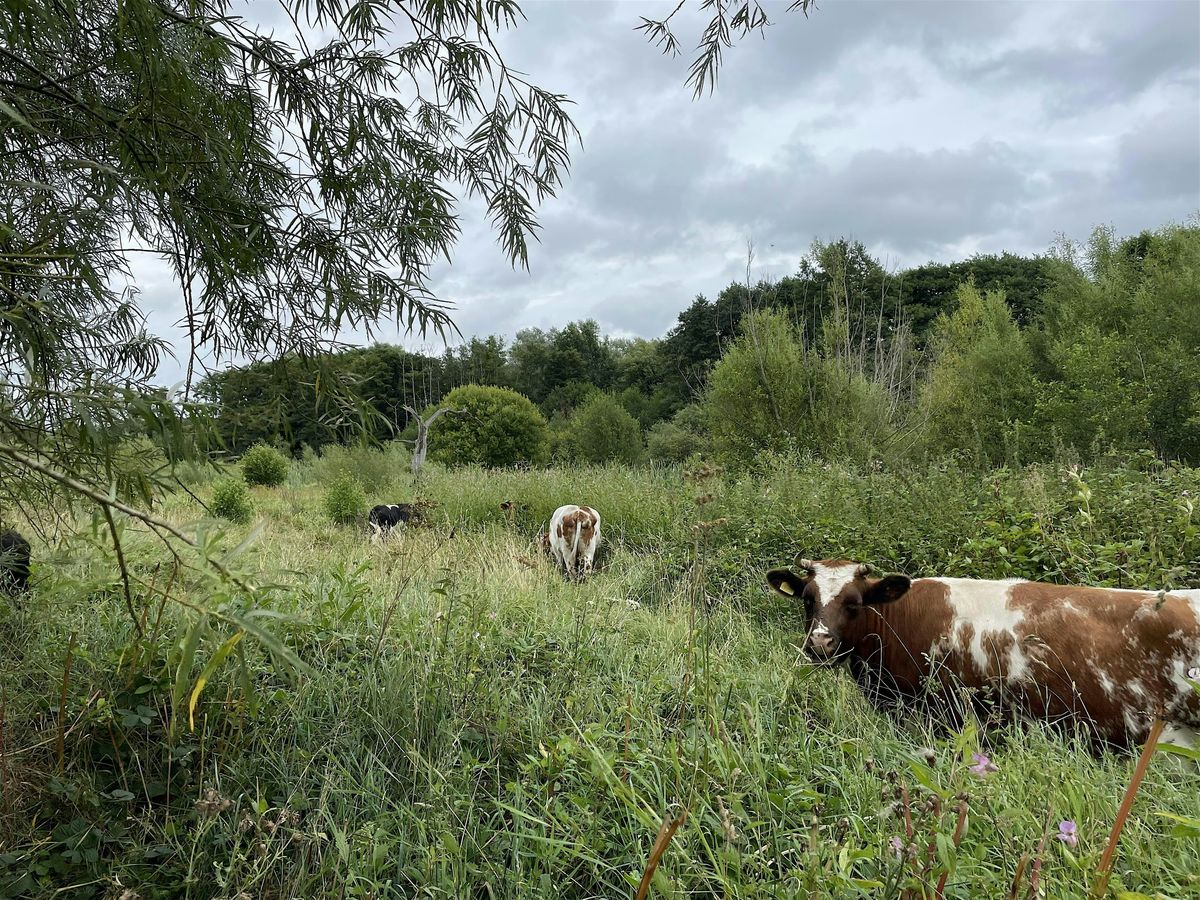 Nature-based Farming in Worcestershire