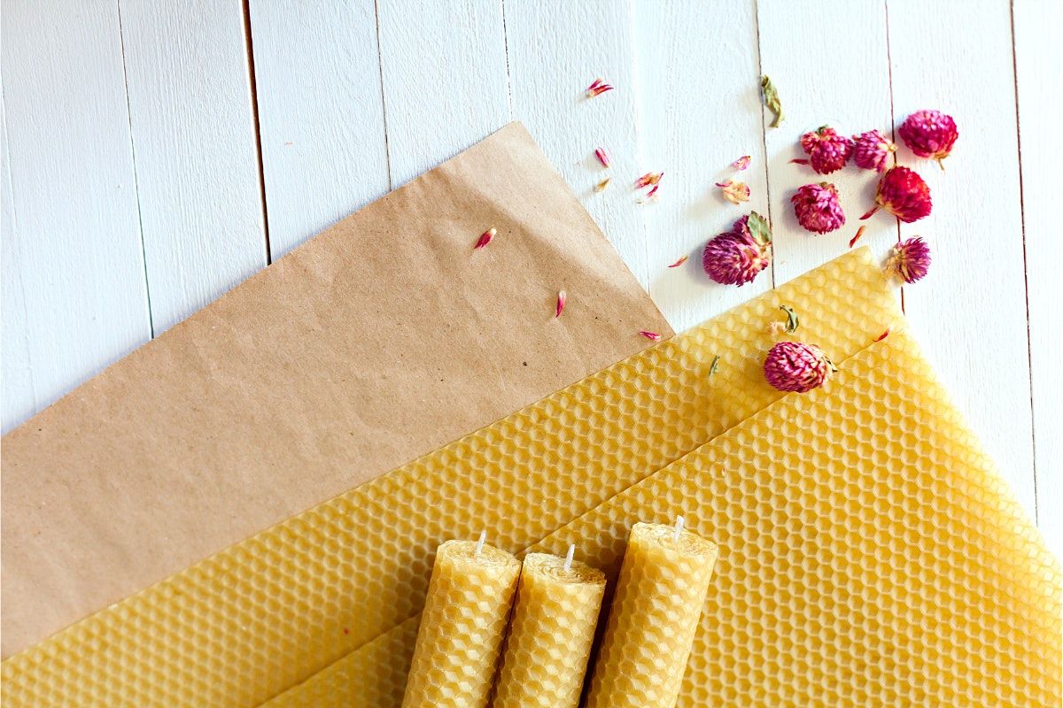 Beeswax Candle Making 101