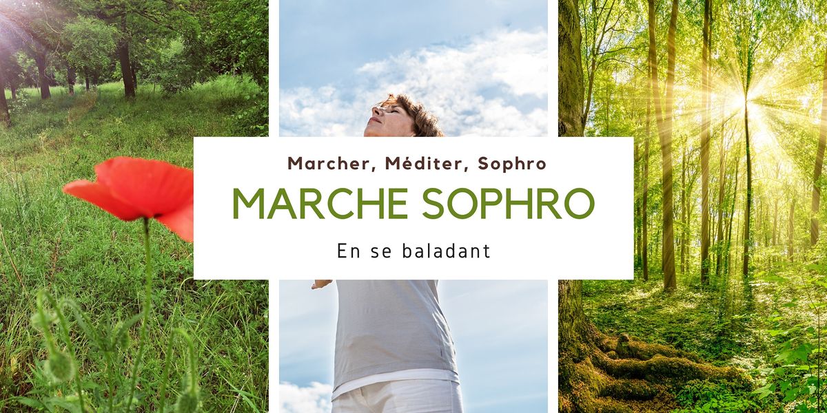 Marche Sophro dans le Bois de Vincennes