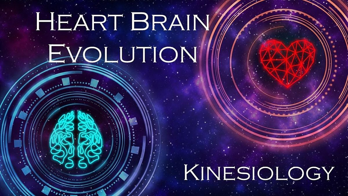 heart-brain-evolution-kinesiology-deposit-only-sydney-crows-nest-community-centre-12