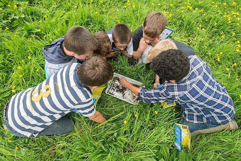 Young Wardens at Carlton Marshes (ECC 2815)