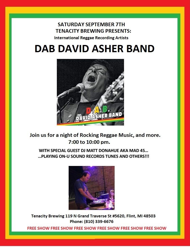 DAB David Asher Band Live In Concert 