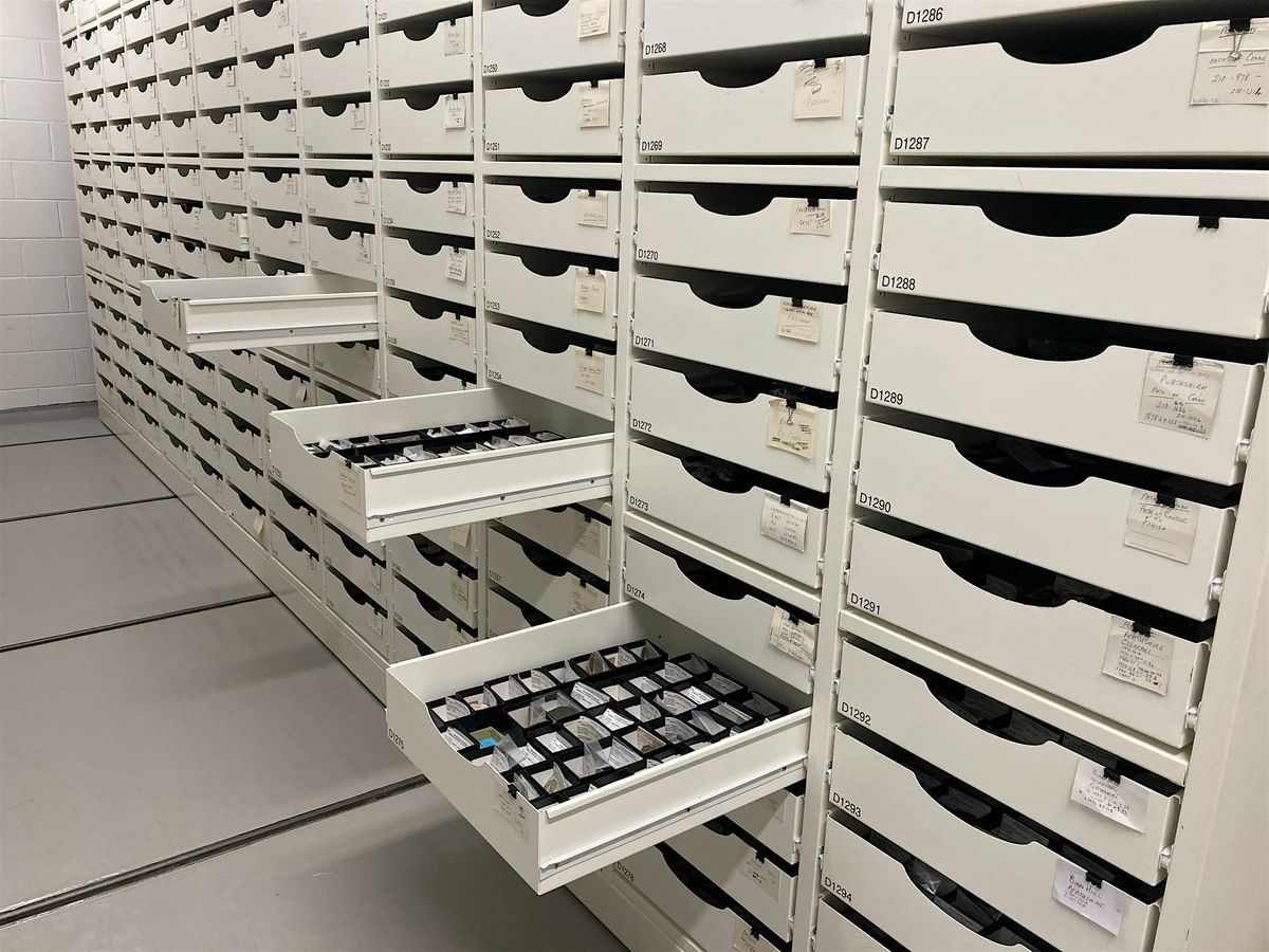 Tour of the Palaeobiology collection, National Museums Collection Center