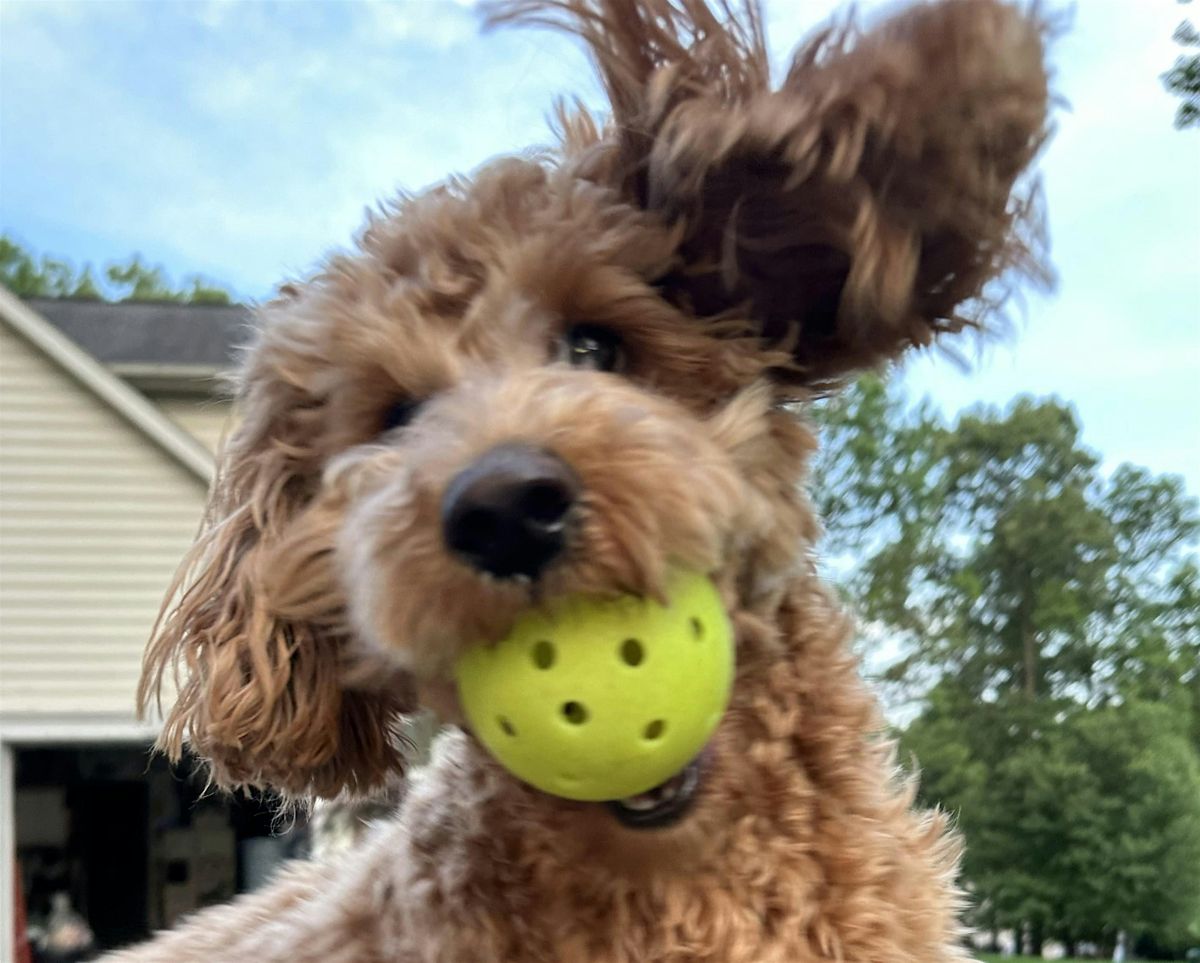 Pickle for Pups Pickleball Fall Edition