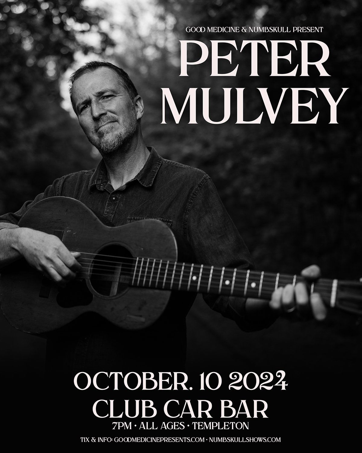 Peter Mulvey