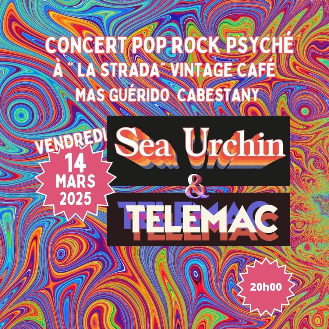 Sea Urchin - Telemac