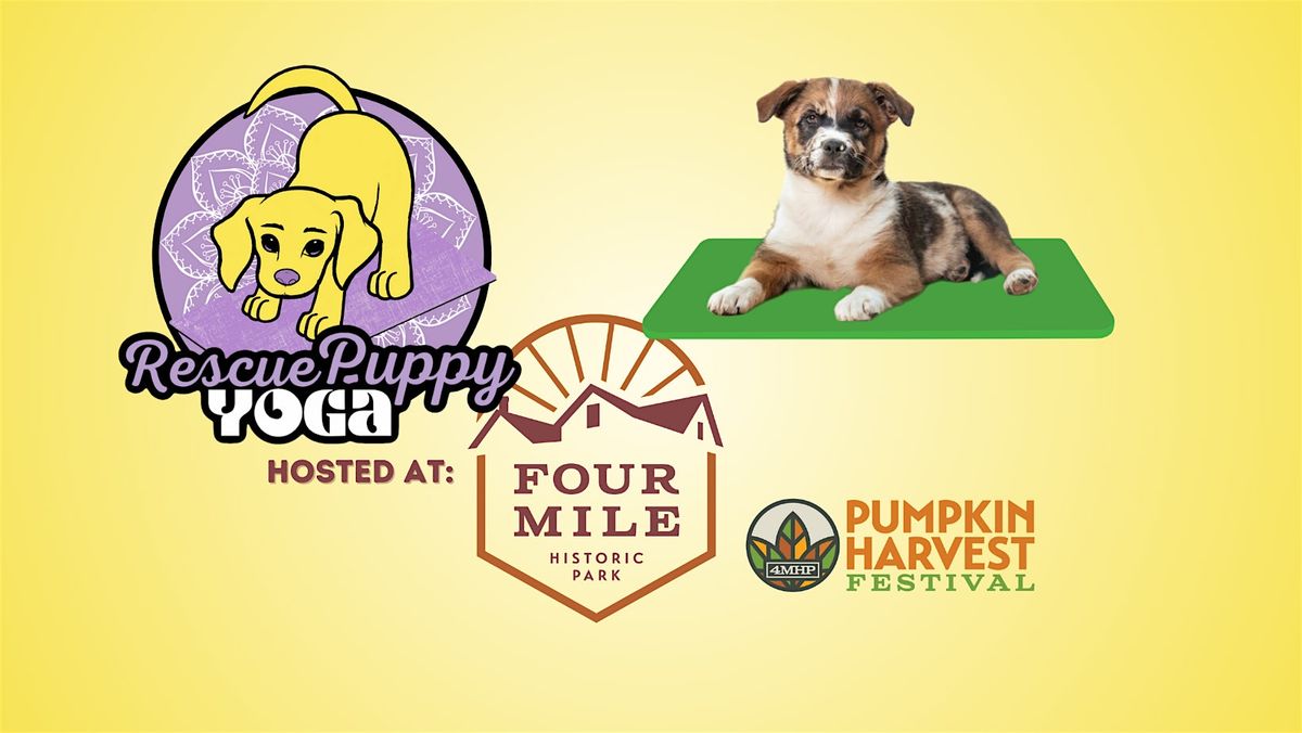 Rescue Puppy Yoga - Four Mile Historic Park Pumpkin Harvest Festival