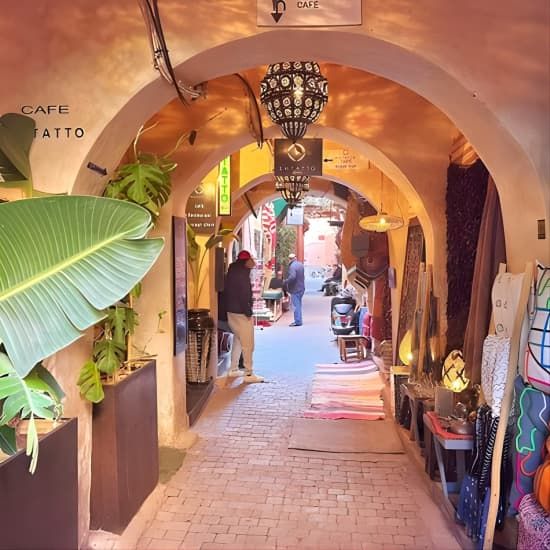 Guided Walking Tour of Marrakech