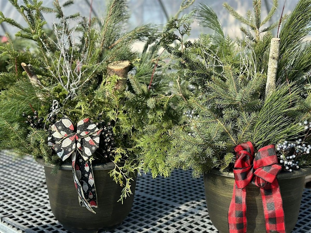 Winter Porch Pot Class-The Plant Shack