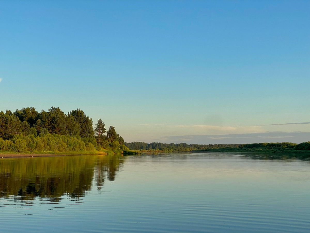 Free Wellness Walk: Tan y Blwch Woods