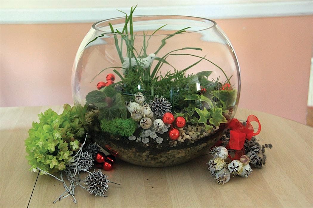 Holiday Terrariums